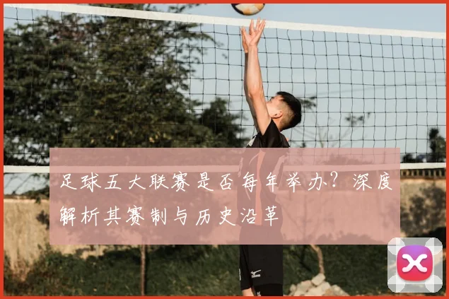 足球五大联赛是否每年举办?深度解析其赛制与历史沿革
