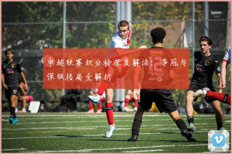 中超联赛积分榜深度解读:争冠与保级格局全解析