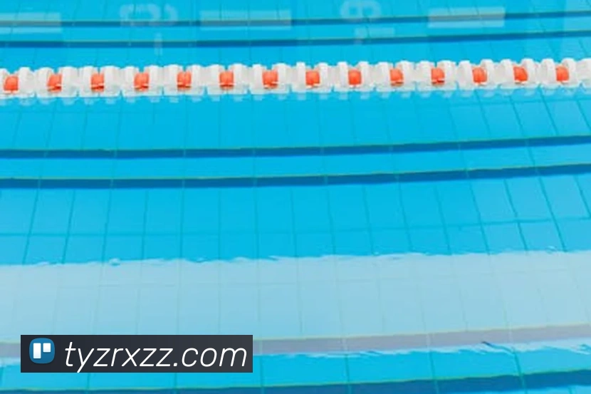 奖项证书